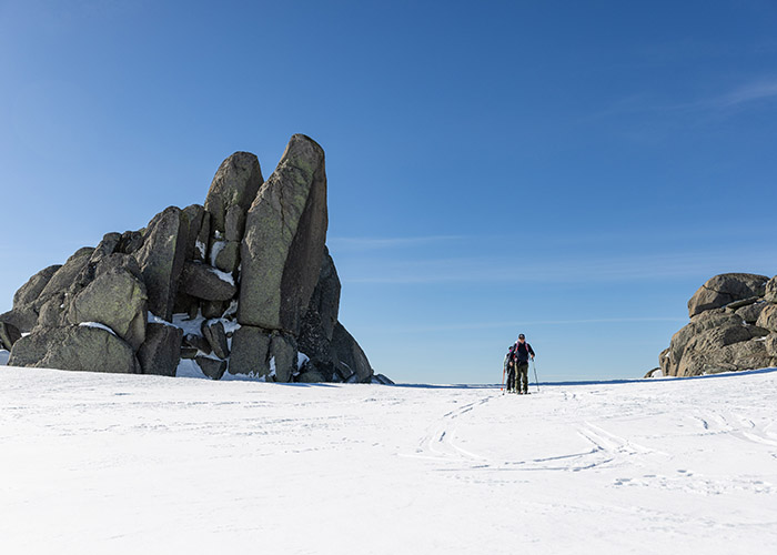 Snowshoe Tours Thredbo Backcountry, Snowy Mountains NSW