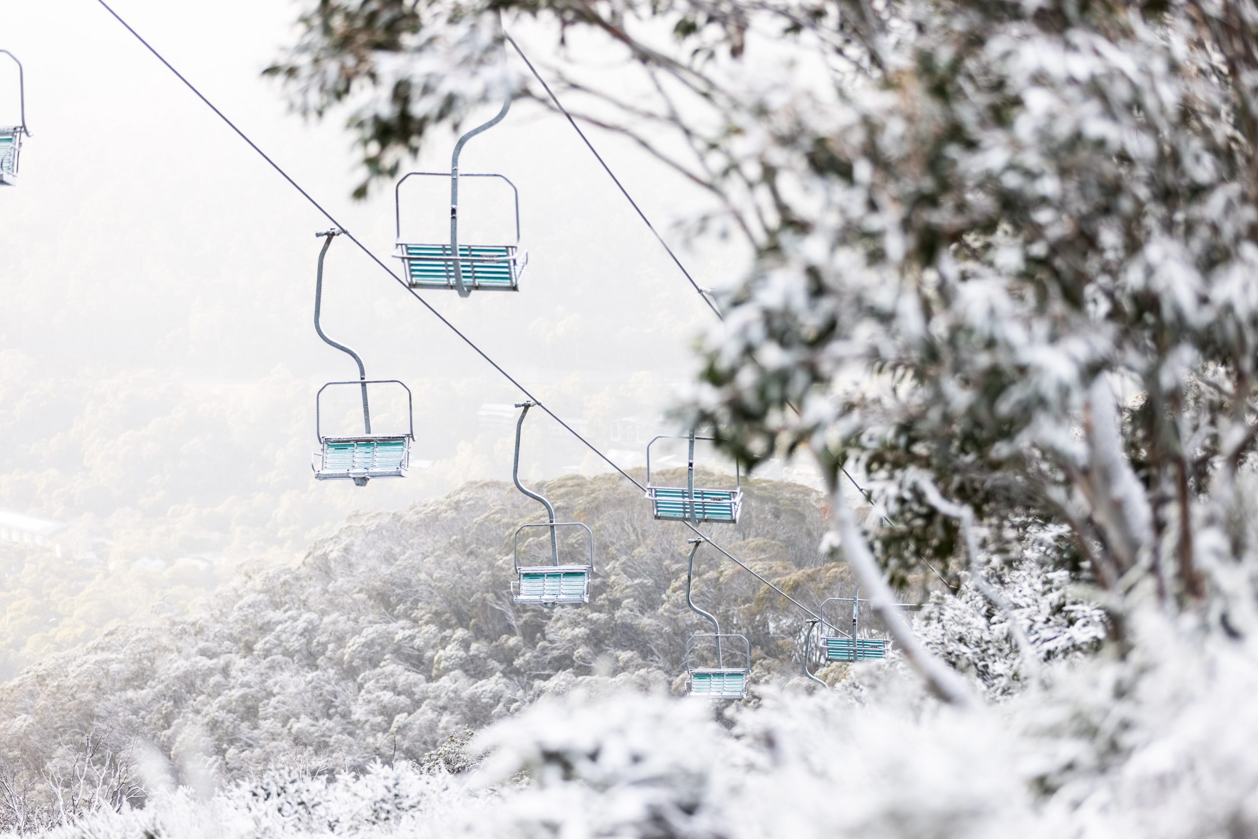 More Snow for Thredbo!