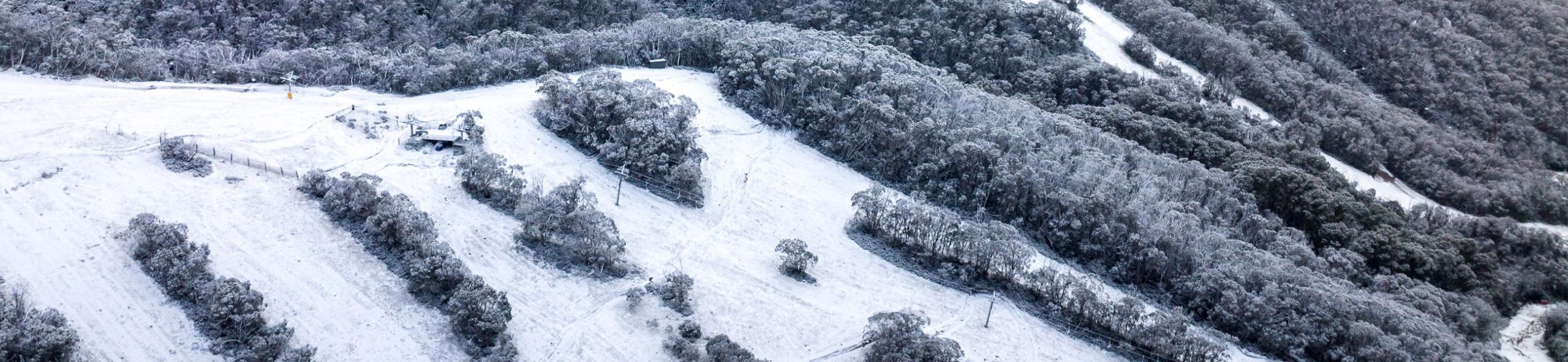 Snowmaking Begins And Snow Keeps Falling! 33 Days To Go...