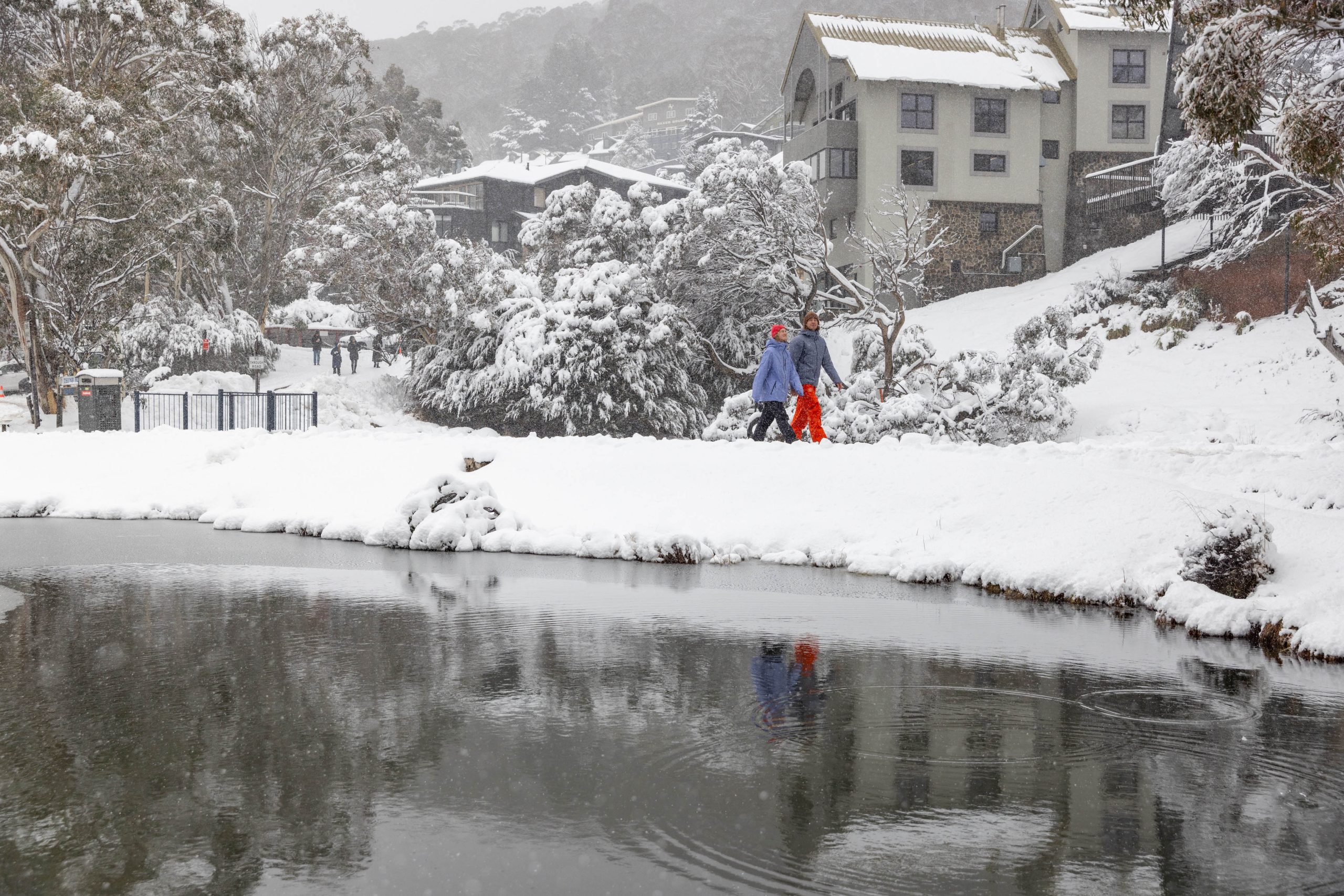Storm Wrap | 39cm Of Snow And More On The Way? Yes Please!
