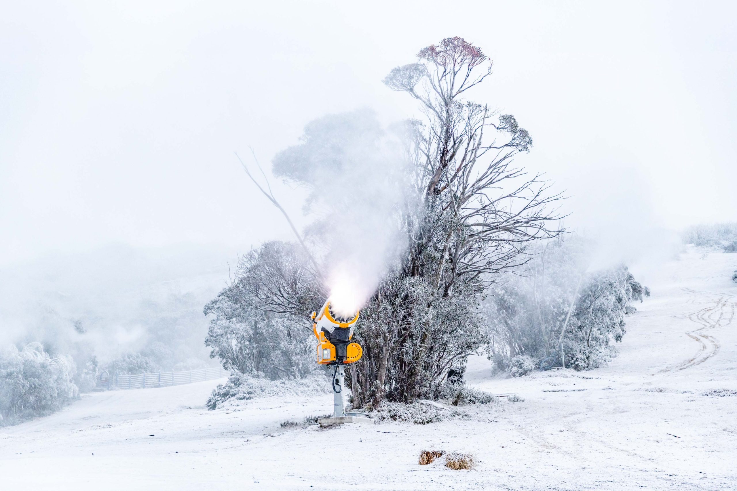 Let's Hear It For The Snowmakers